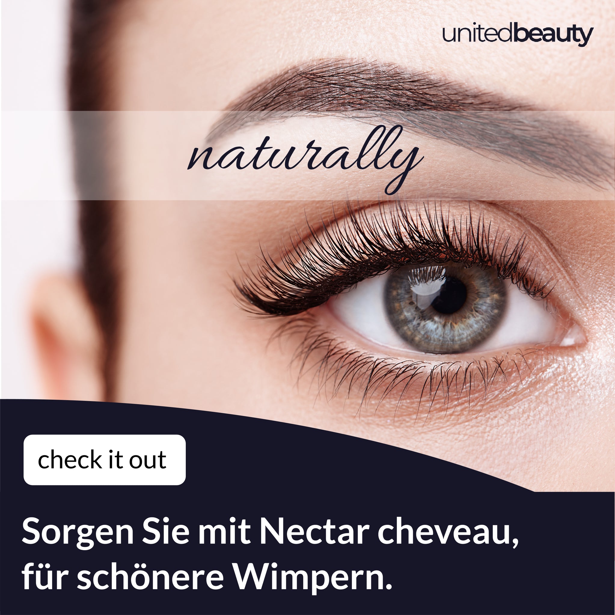 United Beauty Nectar Chevaux